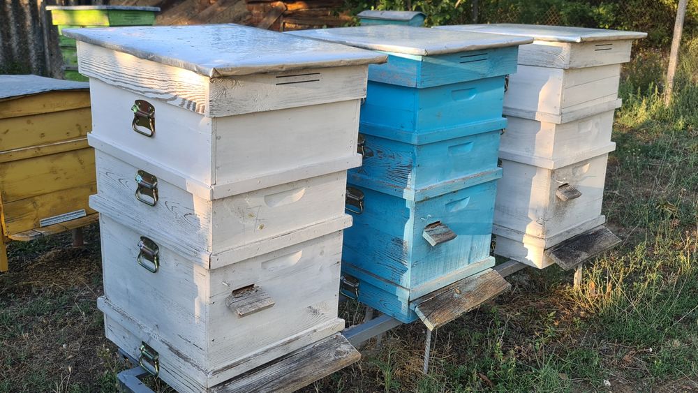 Кошери, сандъци за пчели