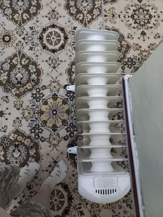 Maslini pech sotiladi arginal