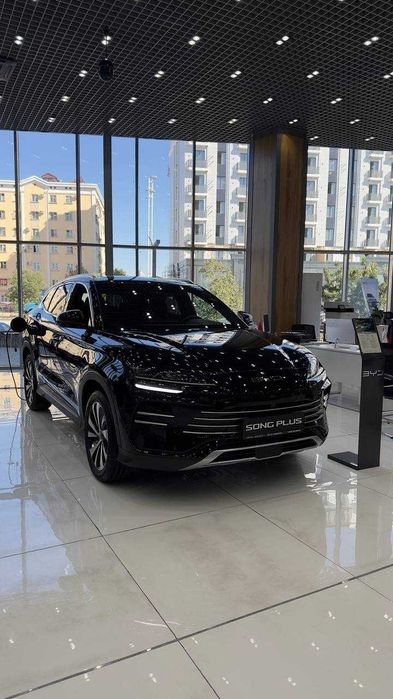 BYD Song Plus Champion 2025 rasmiy dilerdan foydali kredit asosida
