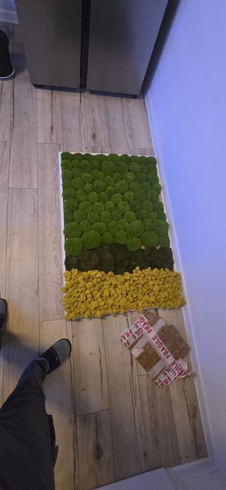 Tablouri muschi bombati si licheni