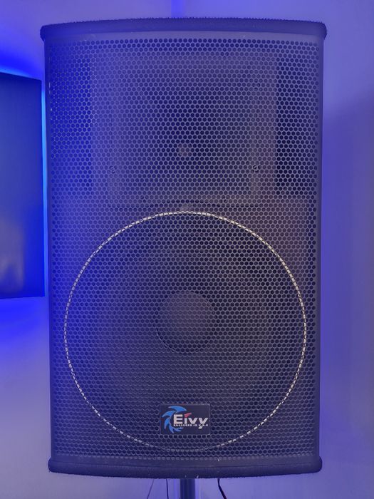 Профессиональная акустика 1200 вт