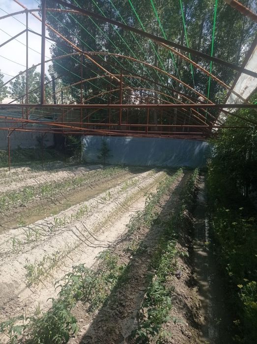 Теплица 2 сотиклик без келёнка