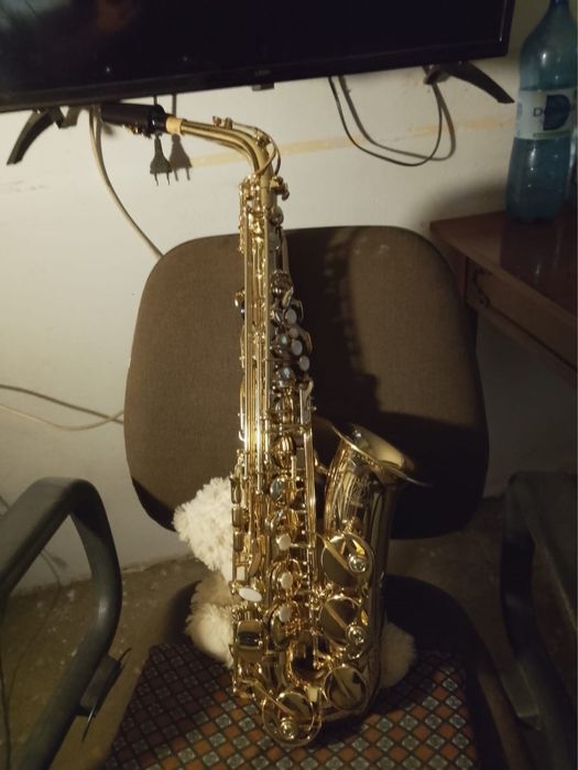 Saxofon Parrot schimb cu Acordeon