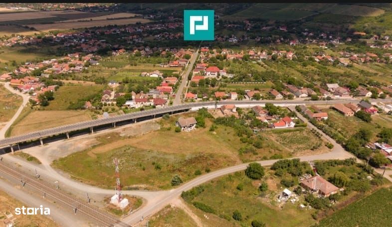 Teren intravilan 10.000 mp. în Pauliș