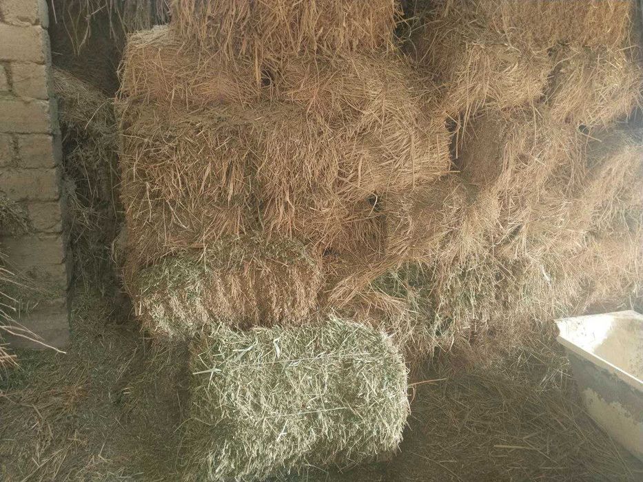 Беда пресс сотилади (тоза)