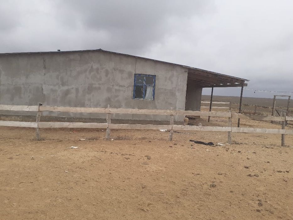 Сельское хозяйство