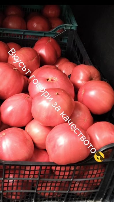Селски Розов домат-1,50 Евро