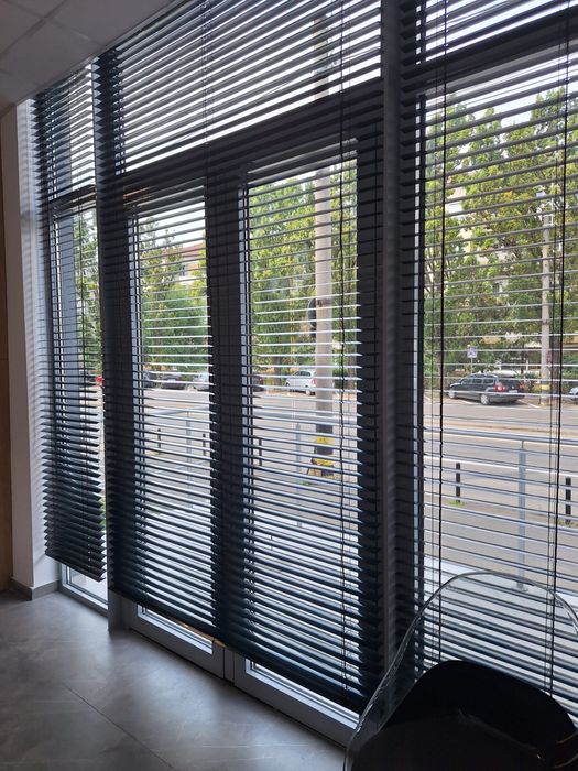 Jaluzele Rolete/Rulouri Plase Insecte