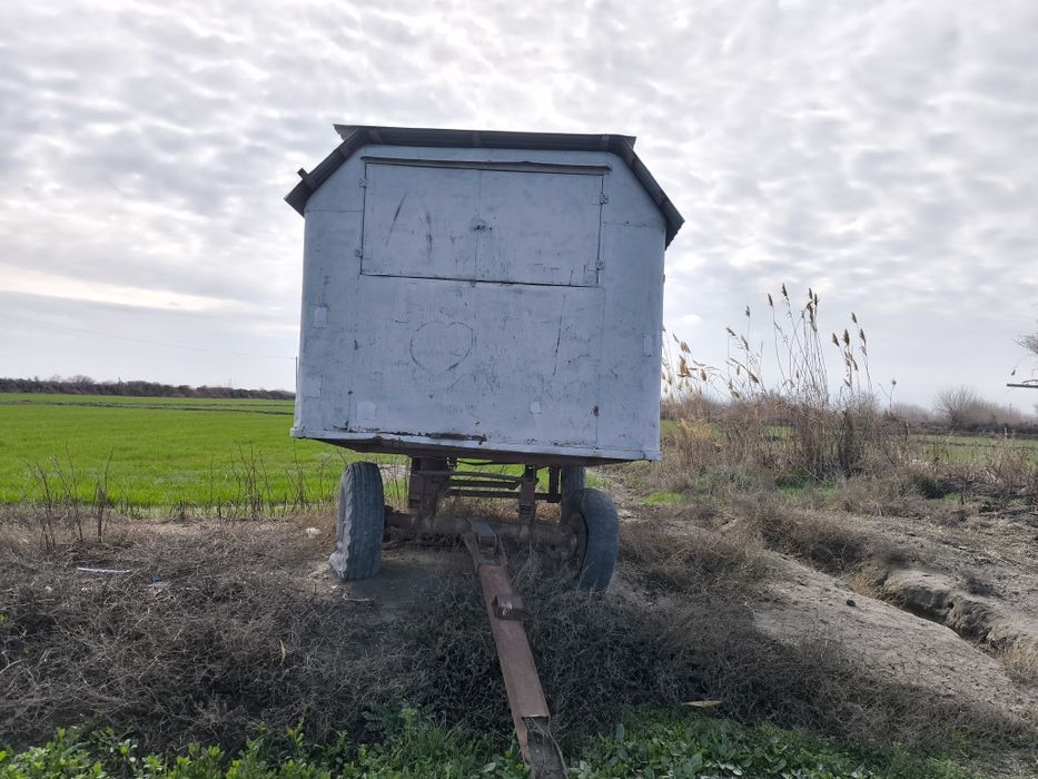 Вагонча контейнер нархи 20млн