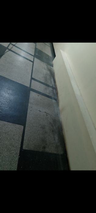 Професионално почистване