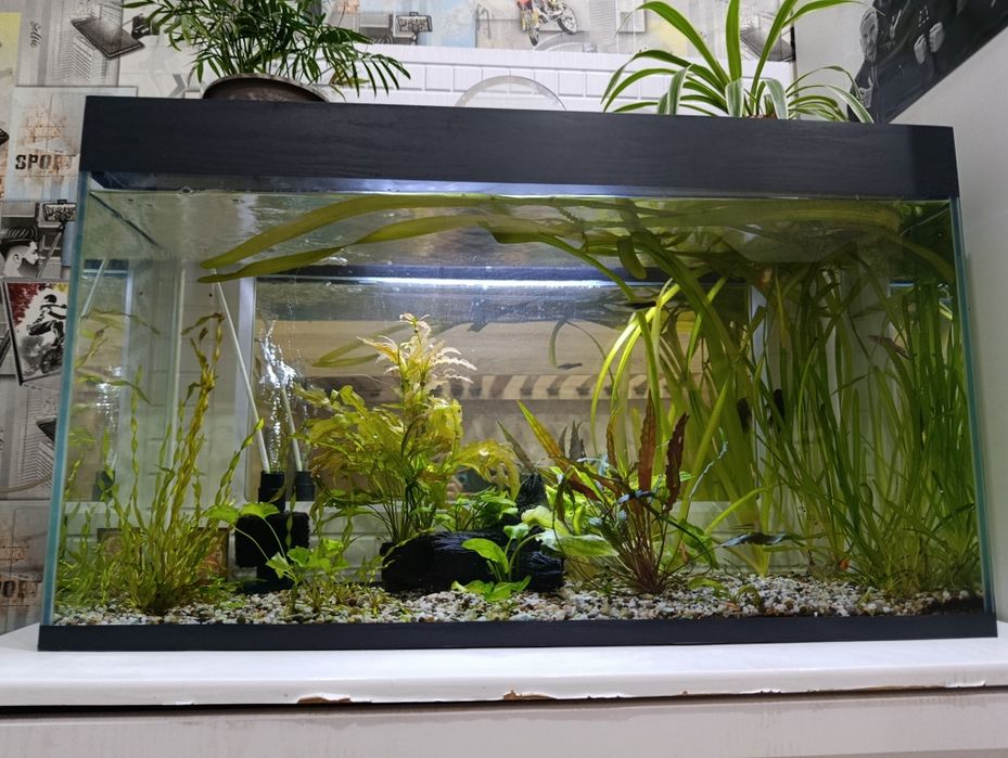Новый аквариум 110 литров со всем