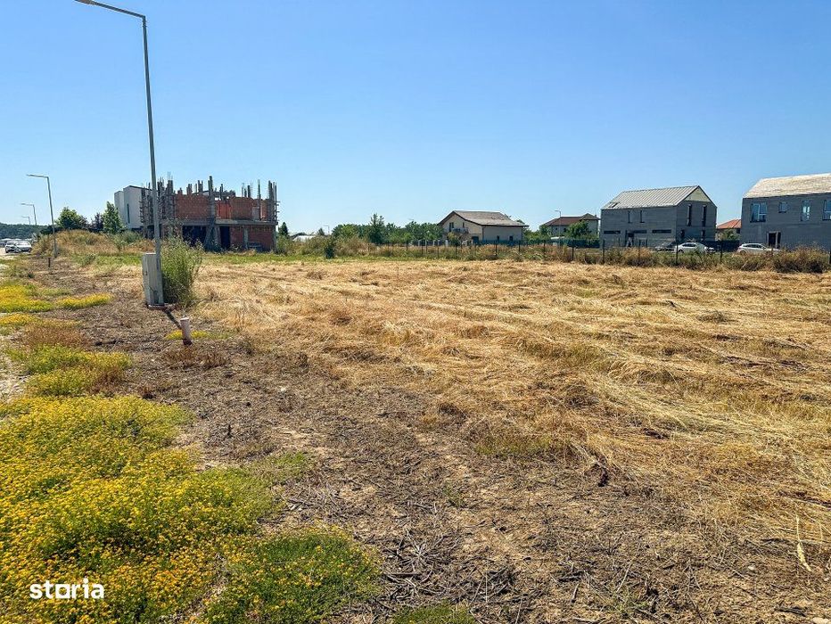 Teren 1116 mp gulia Eden Forest