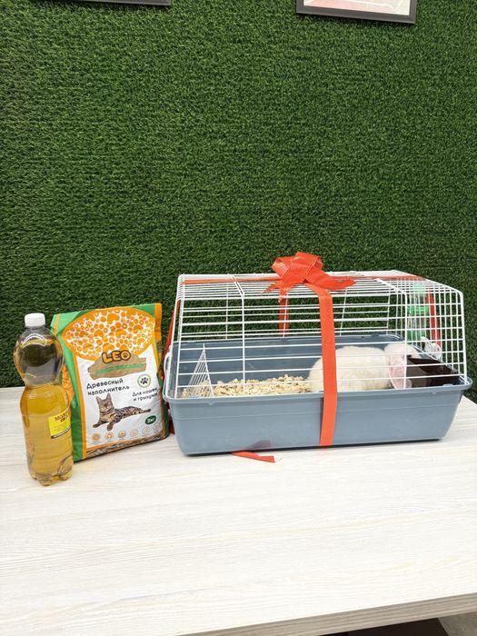 Quyon Qafas, Kletka, Valer.  Клетка для кроликов