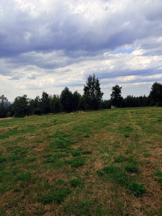 Teren de vânzare Dealu Negru-judetul Cluj