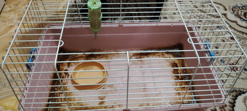 Продам клетку для кроликов