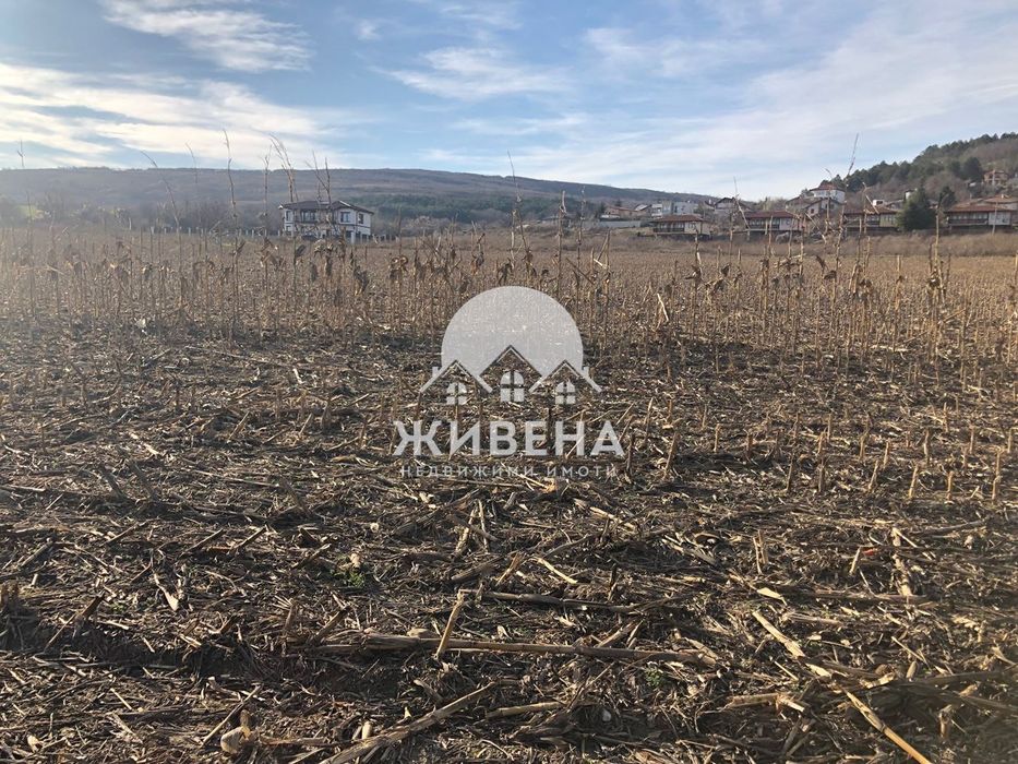 Продава се Парцел в с. Рогачево, Област Добрич - 5259 кв.м за 28 €/кв.м - Снимка #8