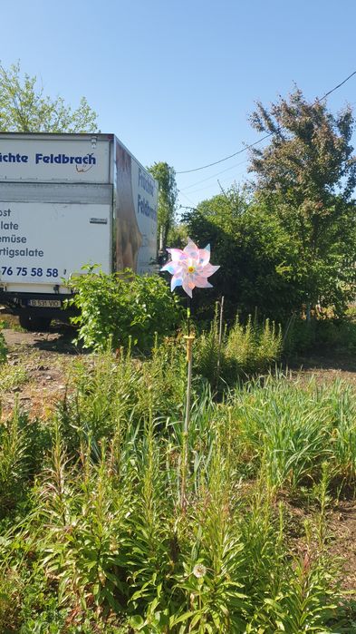 Vind autoutilitara 3,5 t.