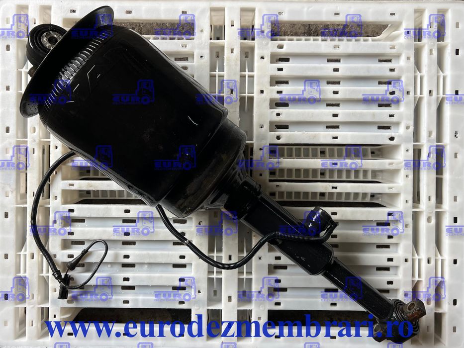 PERNA AER AXA FATA MAN TGX TGS EURO 6 81.43650.6037