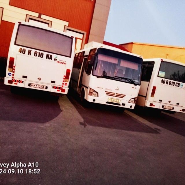Isuzu avtobus xizmati