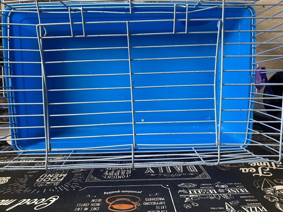 Клетка для кролика и морской свинки