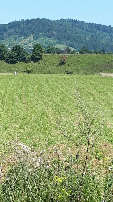 Teren de vanzare 7800 mp(2 parcele alaturate)