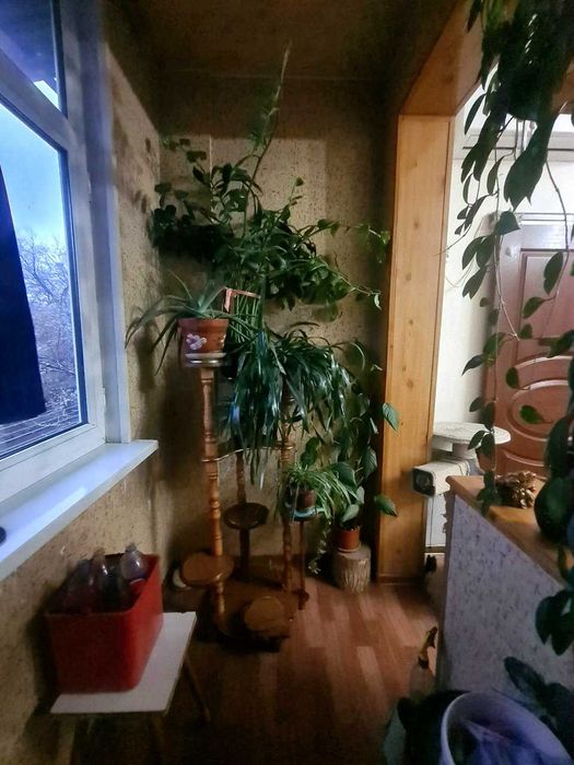 Продаётся 3/3/5 Феруза Гинекология