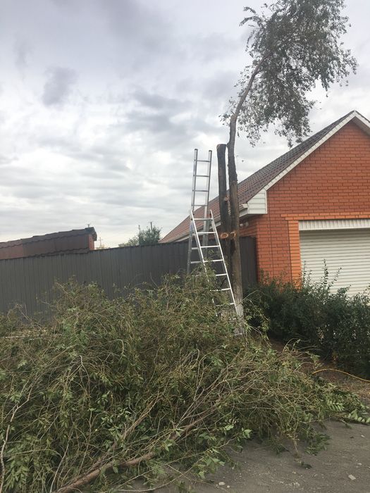 Обрезка деревьев.