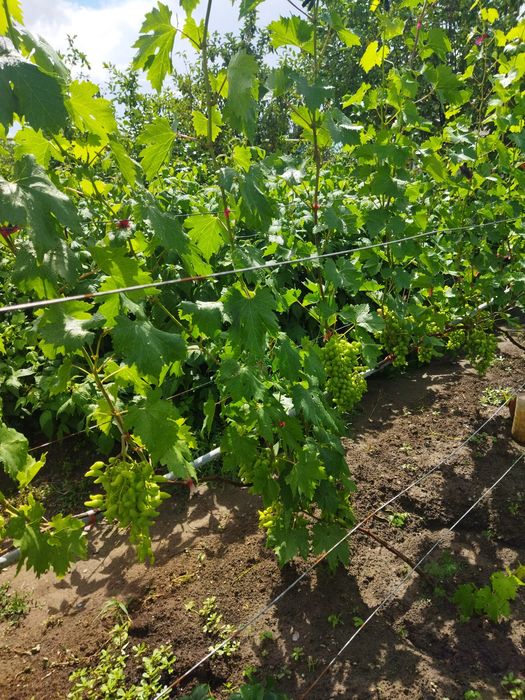 Продам дом с мансардой.