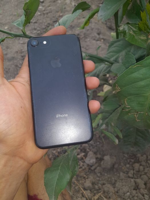 Iphone  7  sotiladi