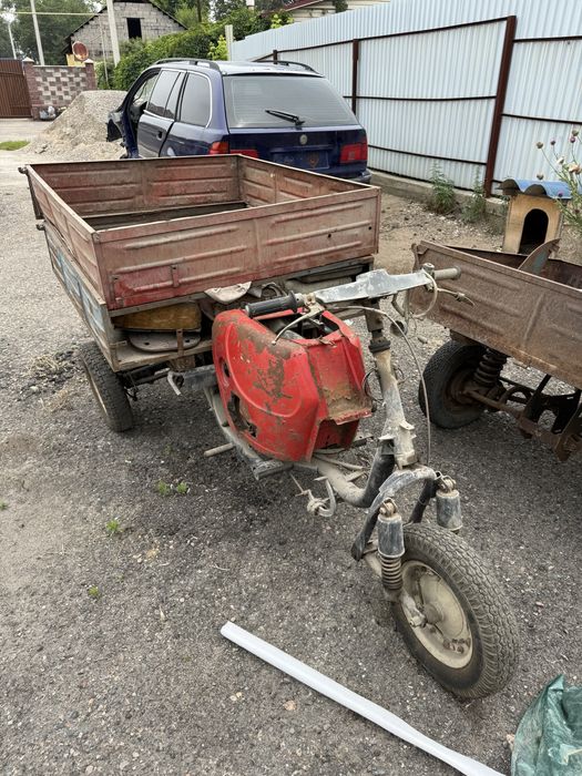 Продам муравейник