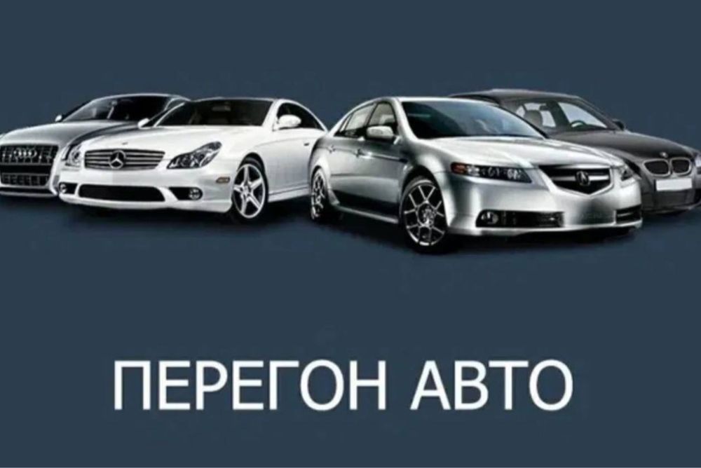 Перегон машины/Трезвый водитель