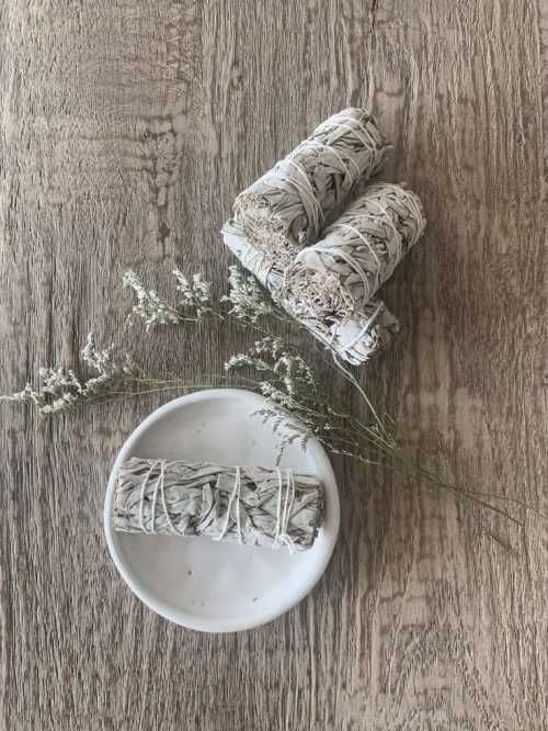 Сноп Диворастяща Бяла Салвия За Кадене