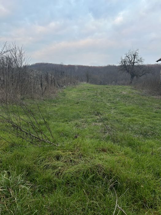 Vand teren 28.000€   4.700 mp  25 Km de oras Buzau