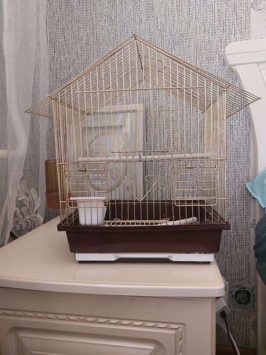 Продаю клетки для птицы и аксессуаров.