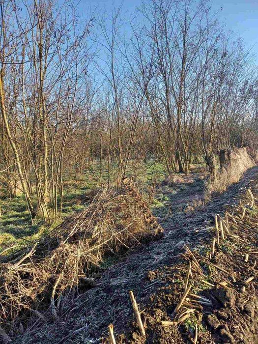 Продава се Къща в с. Добрево, Област Добрич - 80 кв.м за 102 €/кв.м - Снимка #4