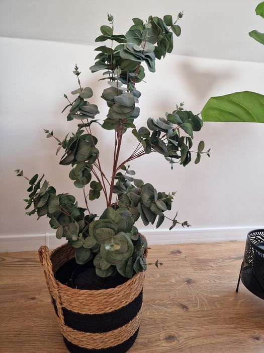 Изкуствени растения 90 см/ с кашпи