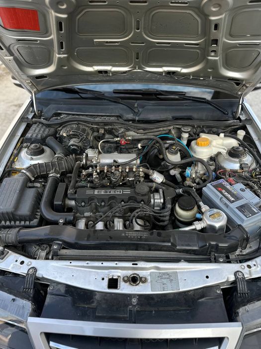 NEKSIYA GIBRIT Зур состоянада