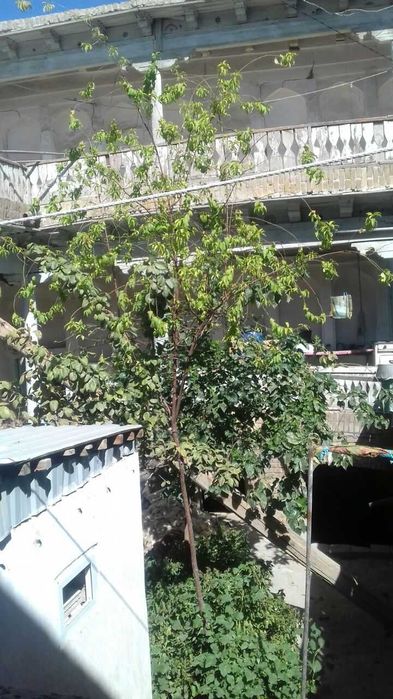 Эски шахар худудидаги уй сотилади.