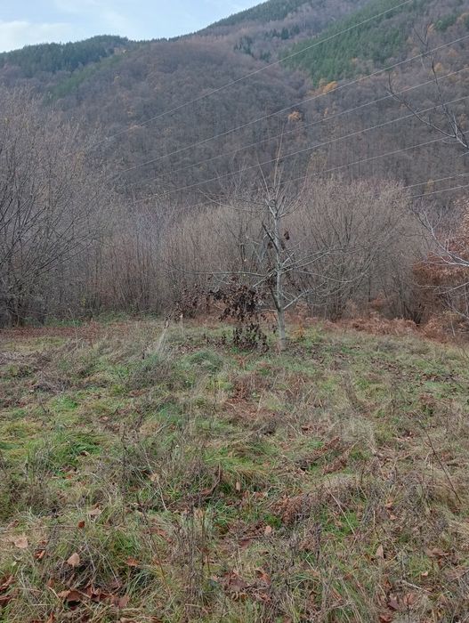 Vând/Schimb teren in zona Râului Mare, Retezat