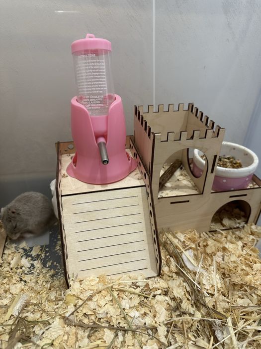 Продам песчанку со всеми принадлежностями