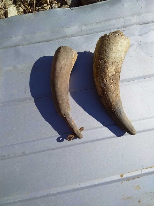 Продавам изгодно