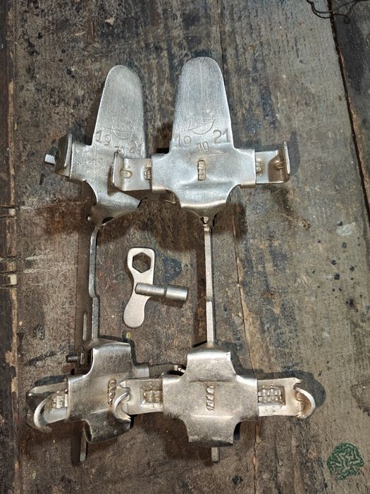 Patine,vechi, reglabile