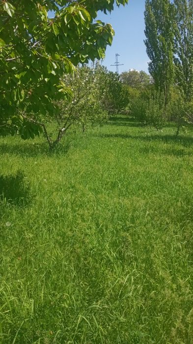 Прадаю дом с садом сад болшой