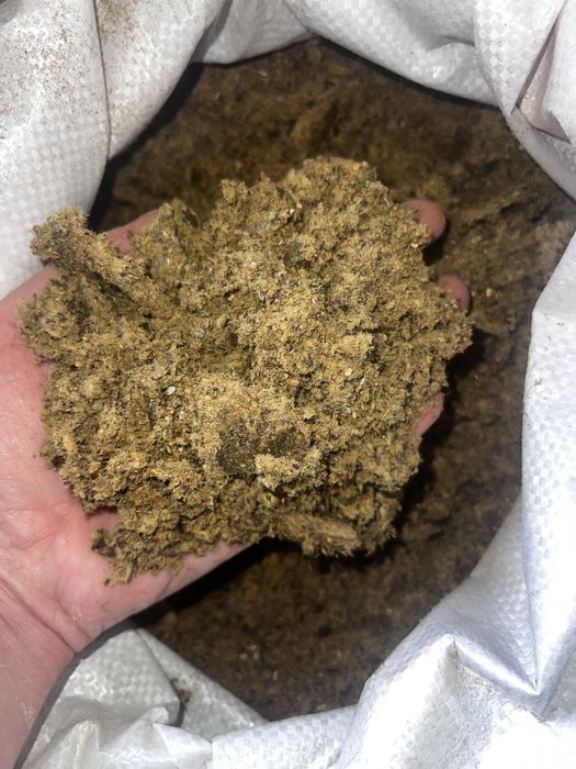 Бидай Арпа Жүгері Кебек