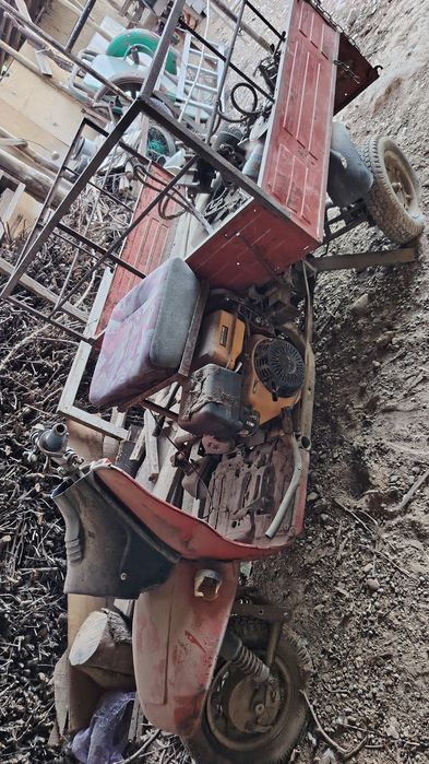 Муровей 2шт продам