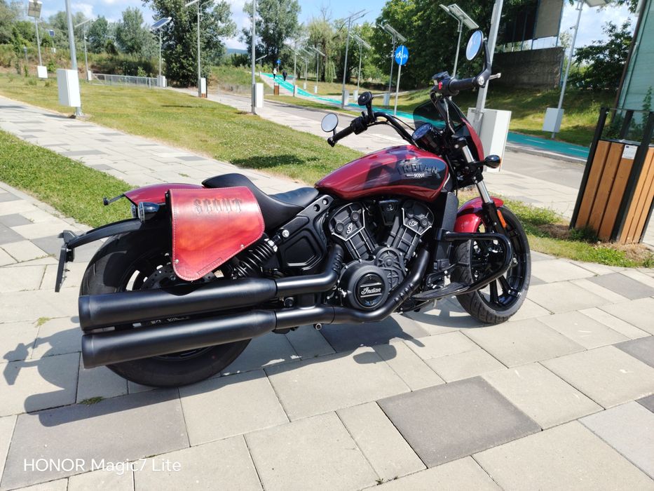 Indian Scout Rogue