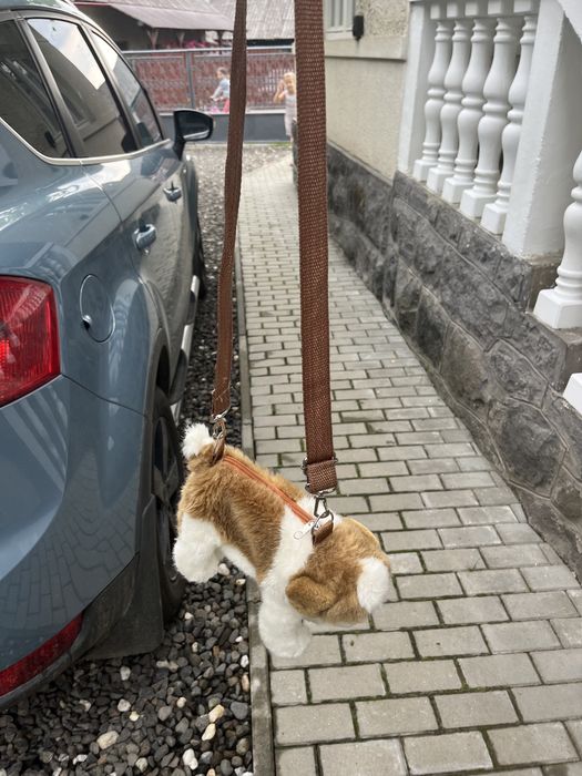Gentuta catel, pt fetite