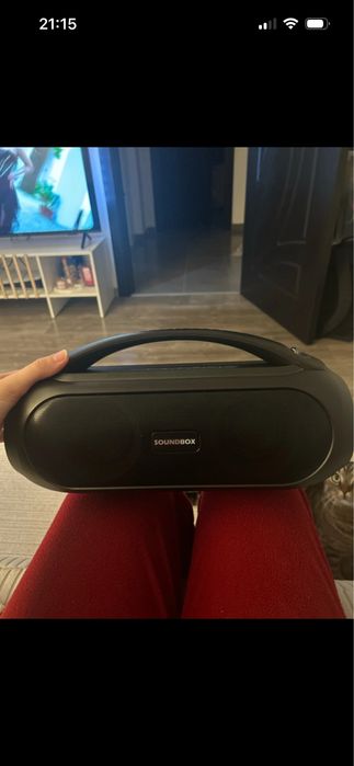 Boxa portabila Soundbox 300