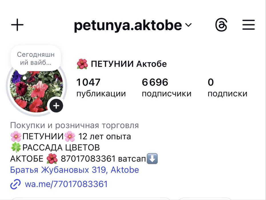 ПЕТУНИИ , рассада однолетних цветов