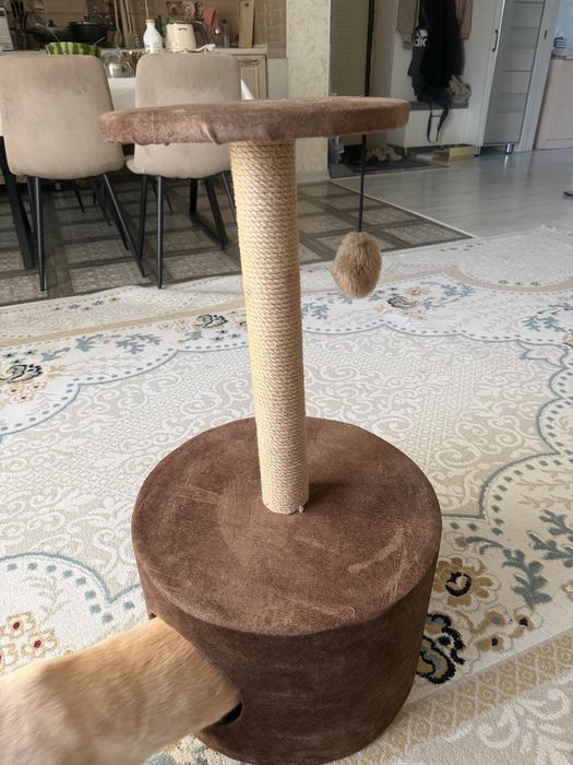 Продам домик для кошек